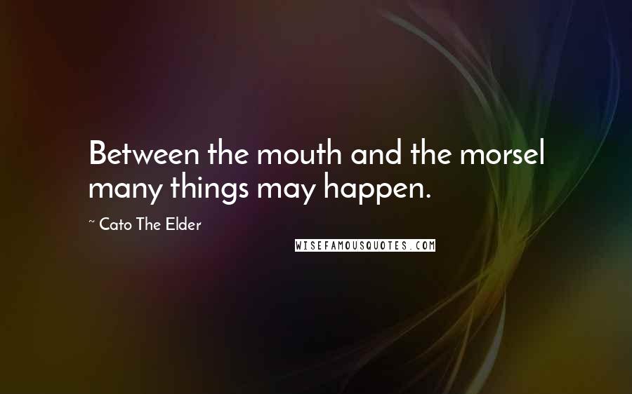 Cato The Elder Quotes: Between the mouth and the morsel many things may happen.