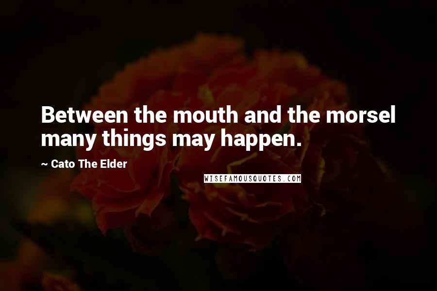 Cato The Elder Quotes: Between the mouth and the morsel many things may happen.