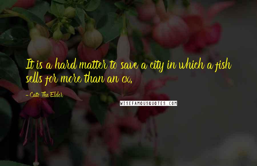 Cato The Elder Quotes: It is a hard matter to save a city in which a fish sells for more than an ox.
