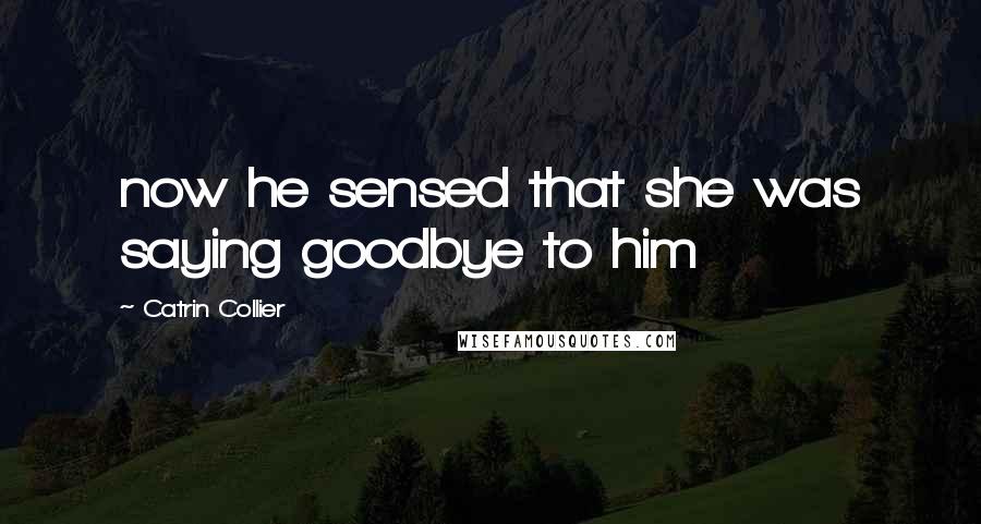 Catrin Collier Quotes: now he sensed that she was saying goodbye to him