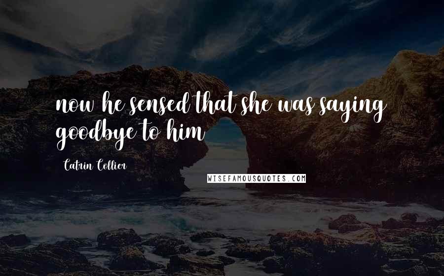 Catrin Collier Quotes: now he sensed that she was saying goodbye to him