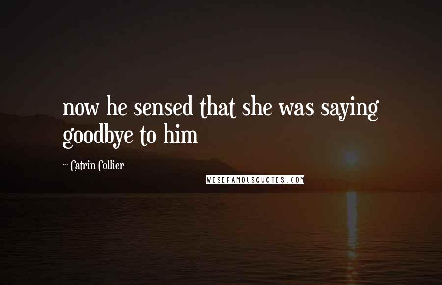 Catrin Collier Quotes: now he sensed that she was saying goodbye to him