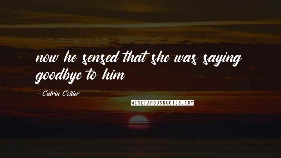 Catrin Collier Quotes: now he sensed that she was saying goodbye to him