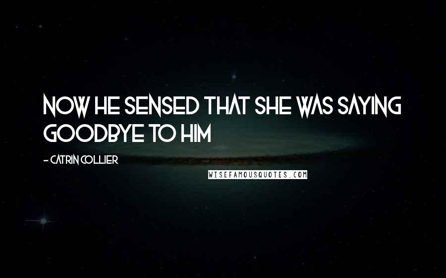 Catrin Collier Quotes: now he sensed that she was saying goodbye to him