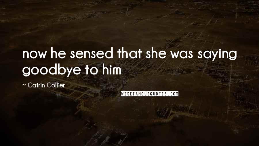 Catrin Collier Quotes: now he sensed that she was saying goodbye to him