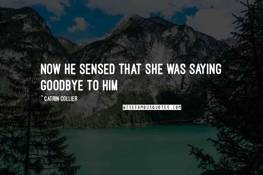 Catrin Collier Quotes: now he sensed that she was saying goodbye to him