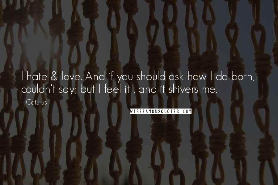 Catullus Quotes: I hate & love. And if you should ask how I do both,I couldn't say; but I feel it , and it shivers me.