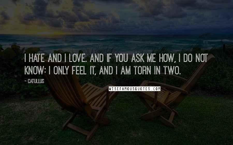 Catullus Quotes: I hate and I love. And if you ask me how, I do not know: I only feel it, and I am torn in two.