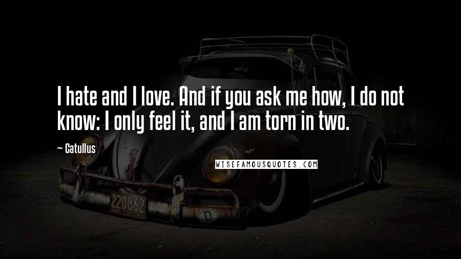 Catullus Quotes: I hate and I love. And if you ask me how, I do not know: I only feel it, and I am torn in two.