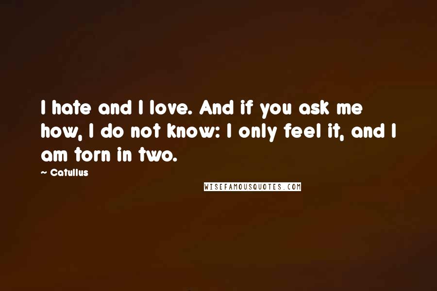 Catullus Quotes: I hate and I love. And if you ask me how, I do not know: I only feel it, and I am torn in two.