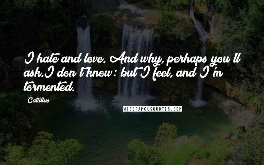 Catullus Quotes: I hate and love. And why, perhaps you'll ask.I don't know: but I feel, and I'm tormented.