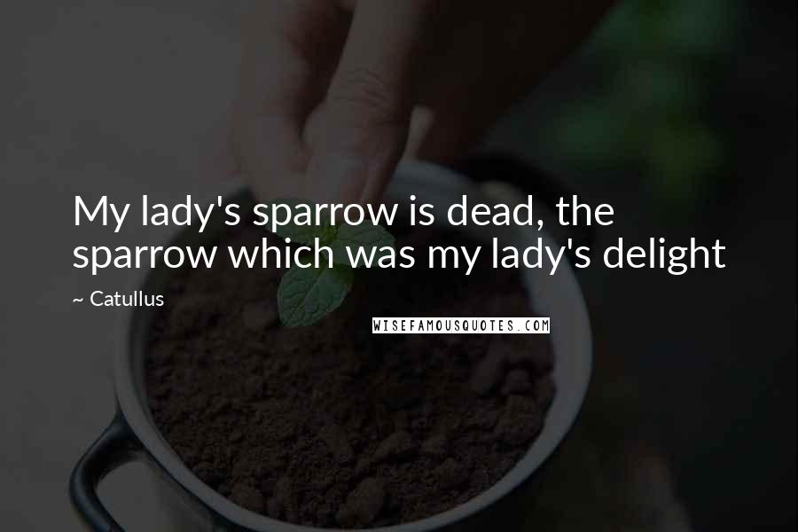 Catullus Quotes: My lady's sparrow is dead, the sparrow which was my lady's delight