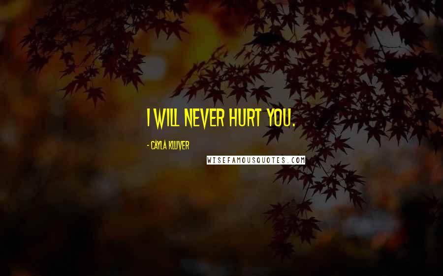 Cayla Kluver Quotes: I will never hurt you.