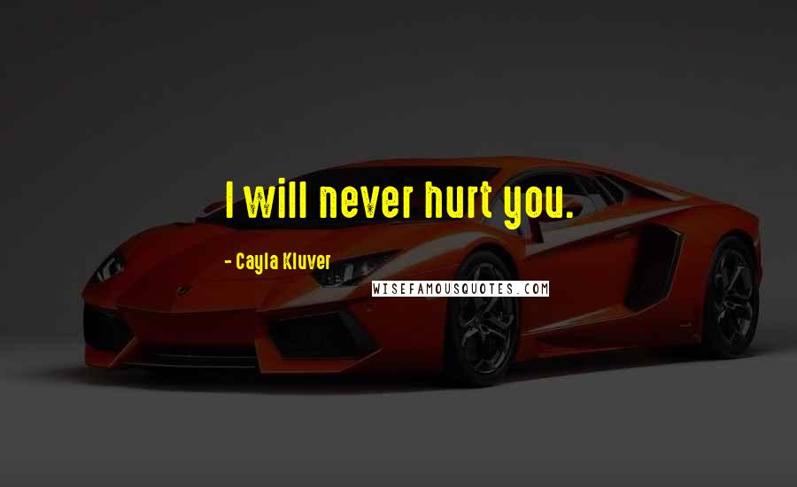 Cayla Kluver Quotes: I will never hurt you.