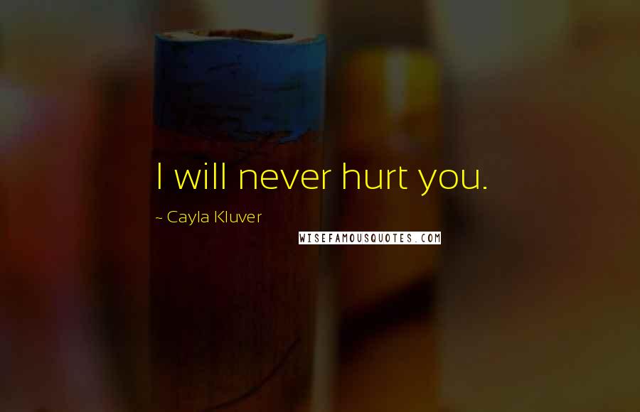 Cayla Kluver Quotes: I will never hurt you.