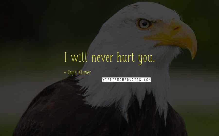 Cayla Kluver Quotes: I will never hurt you.