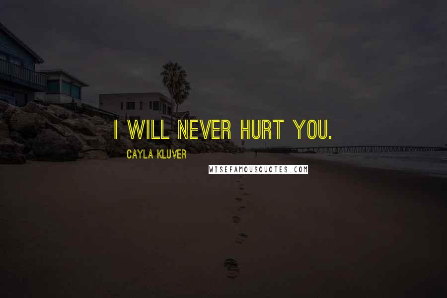 Cayla Kluver Quotes: I will never hurt you.