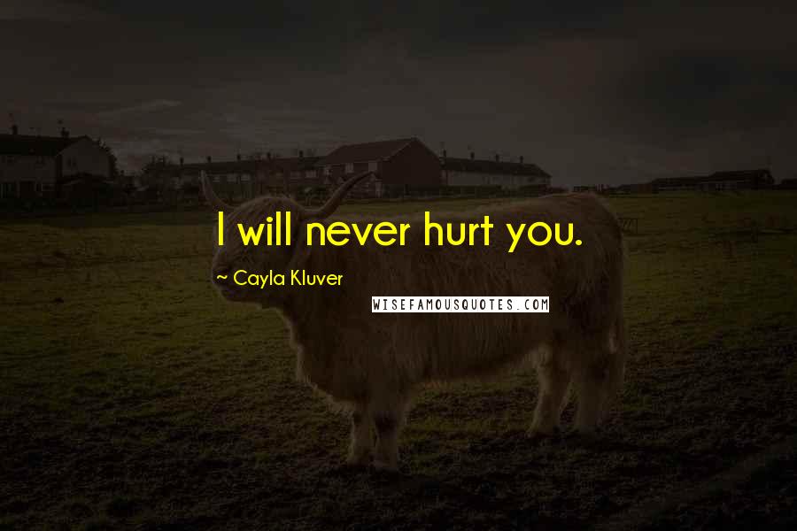 Cayla Kluver Quotes: I will never hurt you.
