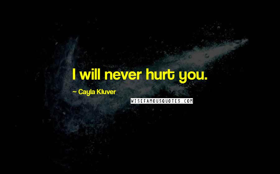 Cayla Kluver Quotes: I will never hurt you.