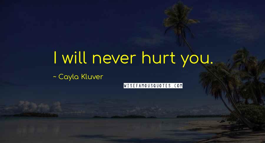 Cayla Kluver Quotes: I will never hurt you.