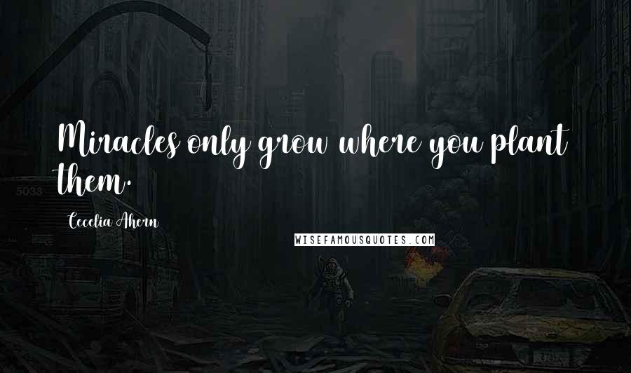 Cecelia Ahern Quotes: Miracles only grow where you plant them.