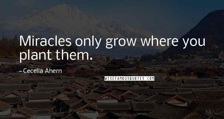 Cecelia Ahern Quotes: Miracles only grow where you plant them.