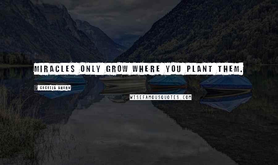 Cecelia Ahern Quotes: Miracles only grow where you plant them.