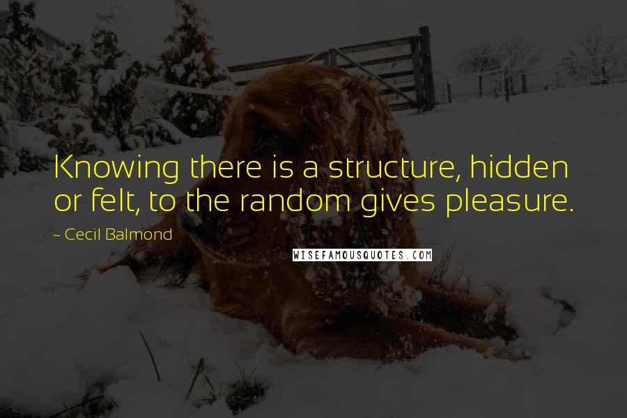 Cecil Balmond Quotes: Knowing there is a structure, hidden or felt, to the random gives pleasure.