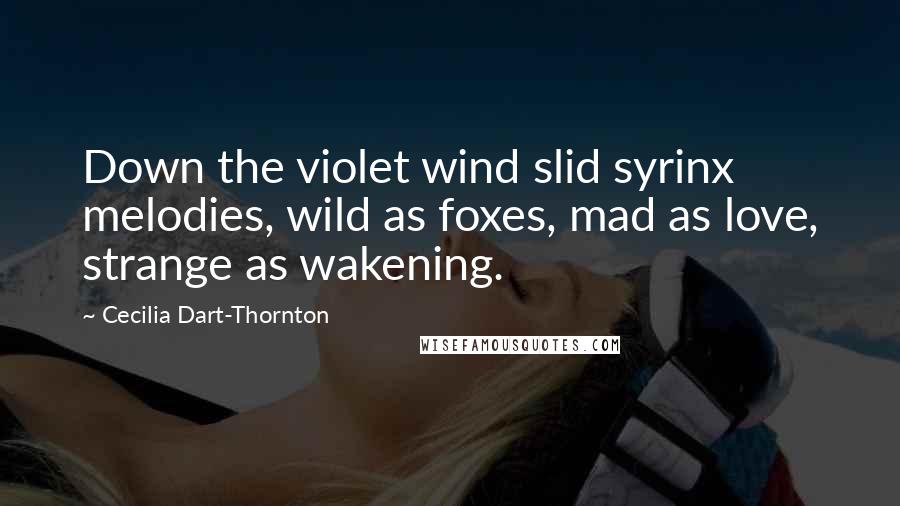 Cecilia Dart-Thornton Quotes: Down the violet wind slid syrinx melodies, wild as foxes, mad as love, strange as wakening.