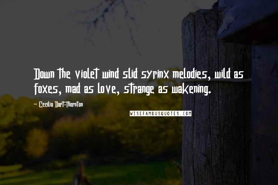 Cecilia Dart-Thornton Quotes: Down the violet wind slid syrinx melodies, wild as foxes, mad as love, strange as wakening.