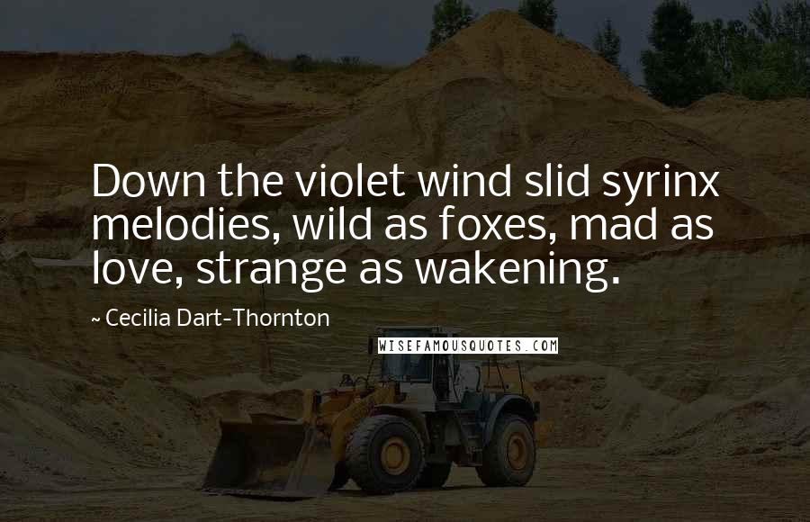 Cecilia Dart-Thornton Quotes: Down the violet wind slid syrinx melodies, wild as foxes, mad as love, strange as wakening.