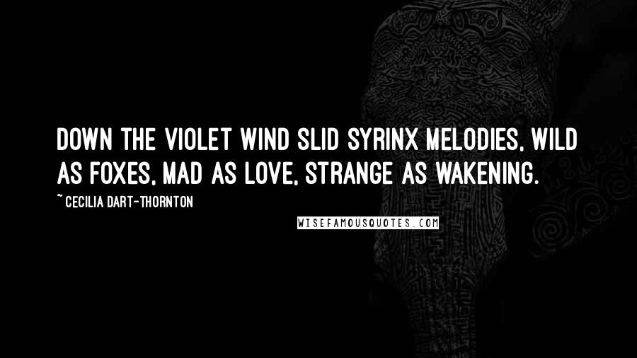 Cecilia Dart-Thornton Quotes: Down the violet wind slid syrinx melodies, wild as foxes, mad as love, strange as wakening.
