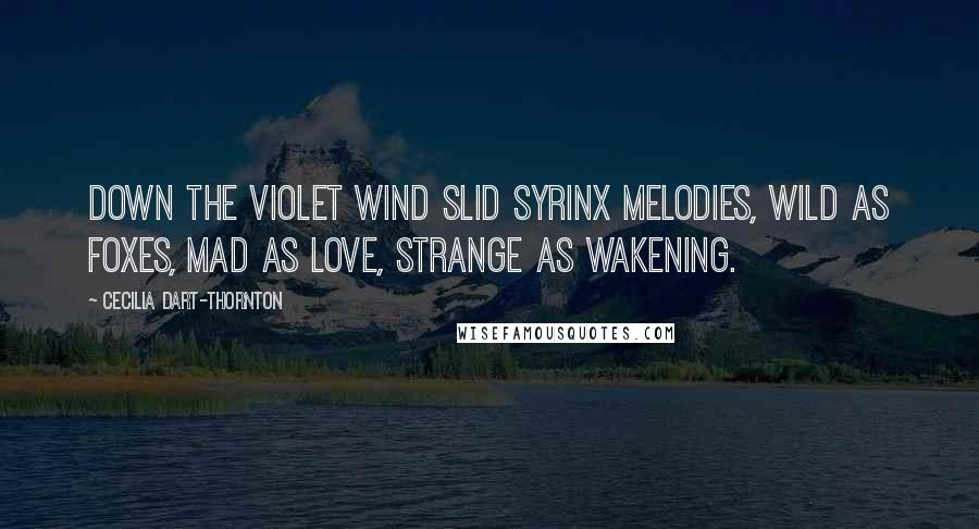 Cecilia Dart-Thornton Quotes: Down the violet wind slid syrinx melodies, wild as foxes, mad as love, strange as wakening.