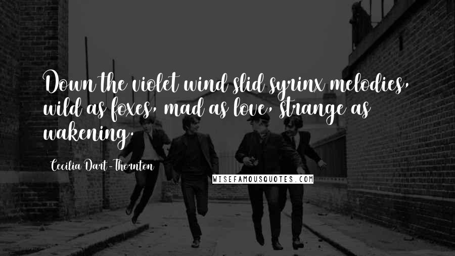 Cecilia Dart-Thornton Quotes: Down the violet wind slid syrinx melodies, wild as foxes, mad as love, strange as wakening.