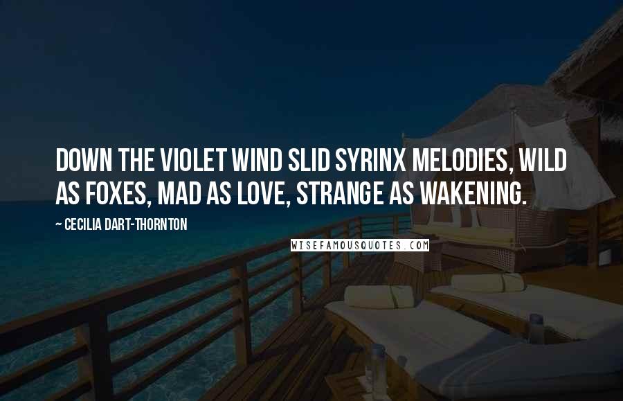Cecilia Dart-Thornton Quotes: Down the violet wind slid syrinx melodies, wild as foxes, mad as love, strange as wakening.