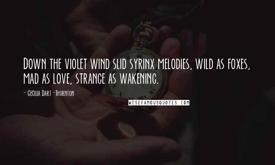 Cecilia Dart-Thornton Quotes: Down the violet wind slid syrinx melodies, wild as foxes, mad as love, strange as wakening.