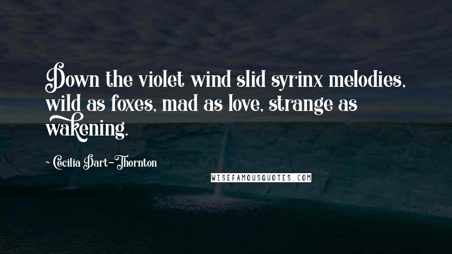 Cecilia Dart-Thornton Quotes: Down the violet wind slid syrinx melodies, wild as foxes, mad as love, strange as wakening.