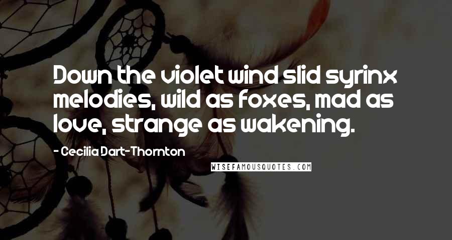Cecilia Dart-Thornton Quotes: Down the violet wind slid syrinx melodies, wild as foxes, mad as love, strange as wakening.