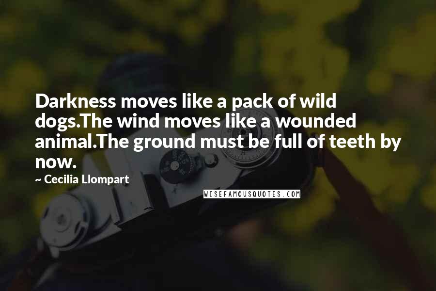 Cecilia Llompart Quotes: Darkness moves like a pack of wild dogs.The wind moves like a wounded animal.The ground must be full of teeth by now.