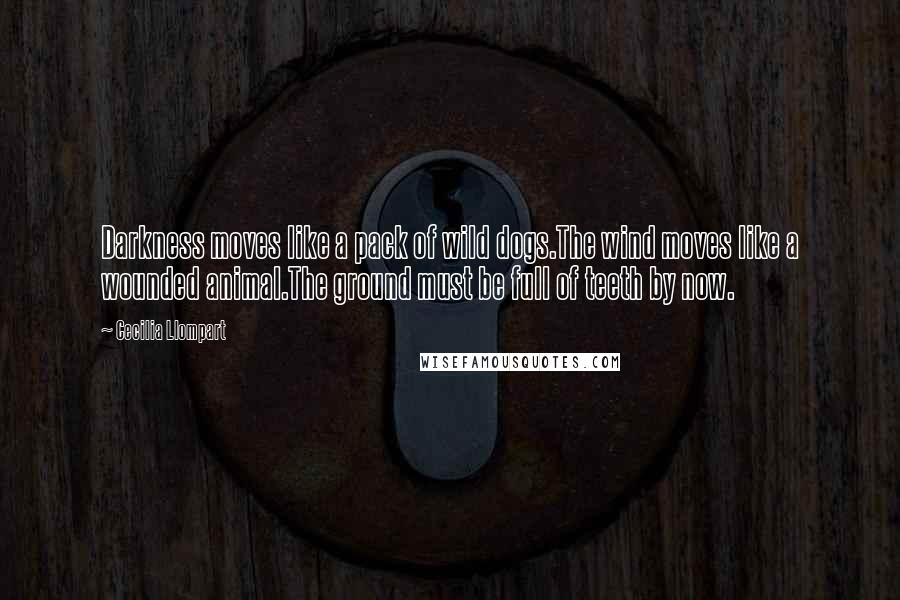 Cecilia Llompart Quotes: Darkness moves like a pack of wild dogs.The wind moves like a wounded animal.The ground must be full of teeth by now.