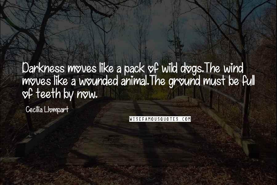 Cecilia Llompart Quotes: Darkness moves like a pack of wild dogs.The wind moves like a wounded animal.The ground must be full of teeth by now.