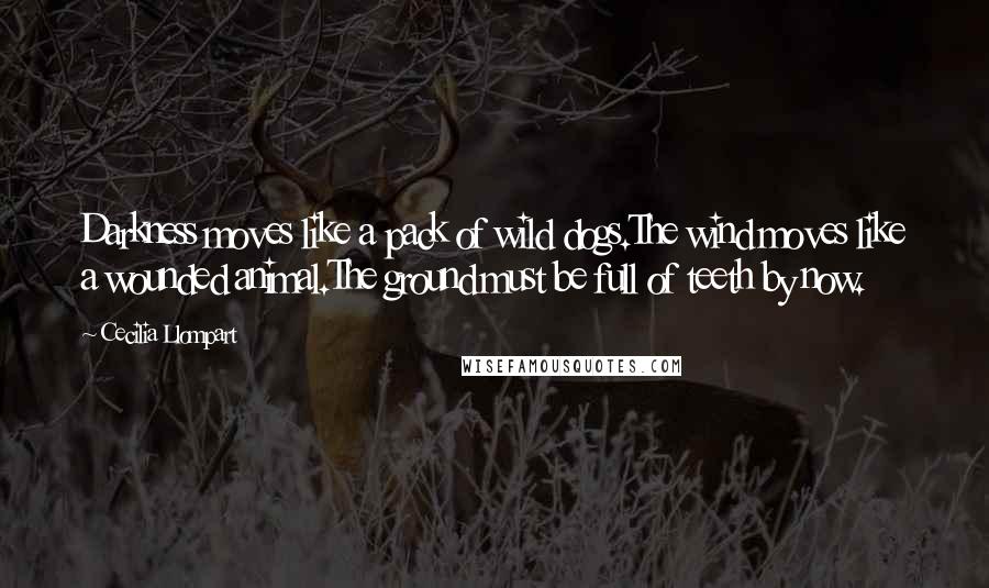 Cecilia Llompart Quotes: Darkness moves like a pack of wild dogs.The wind moves like a wounded animal.The ground must be full of teeth by now.