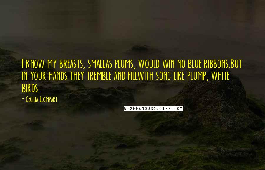 Cecilia Llompart Quotes: I know my breasts, smallas plums, would win no blue ribbons.But in your hands they tremble and fillwith song like plump, white birds.