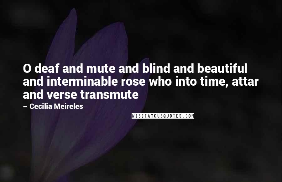 Cecilia Meireles Quotes: O deaf and mute and blind and beautiful and interminable rose who into time, attar and verse transmute