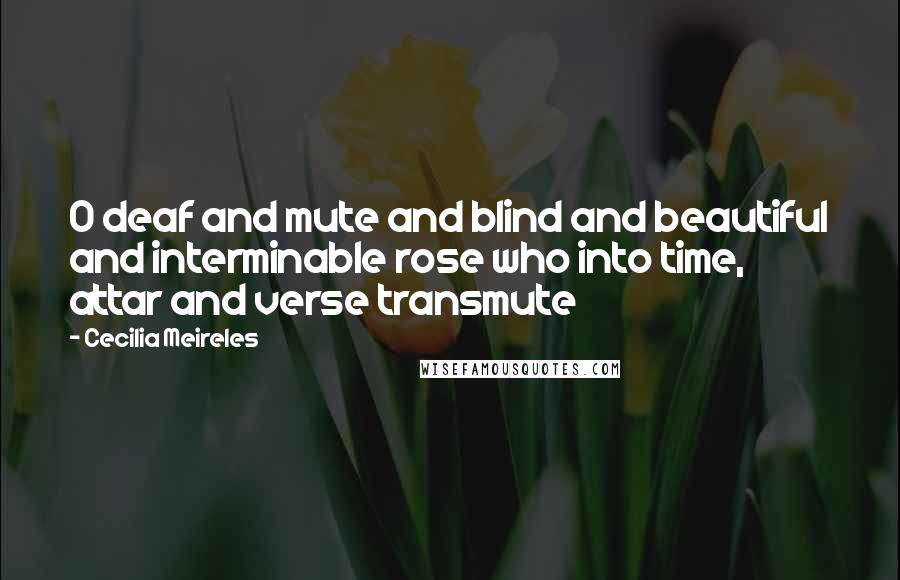 Cecilia Meireles Quotes: O deaf and mute and blind and beautiful and interminable rose who into time, attar and verse transmute