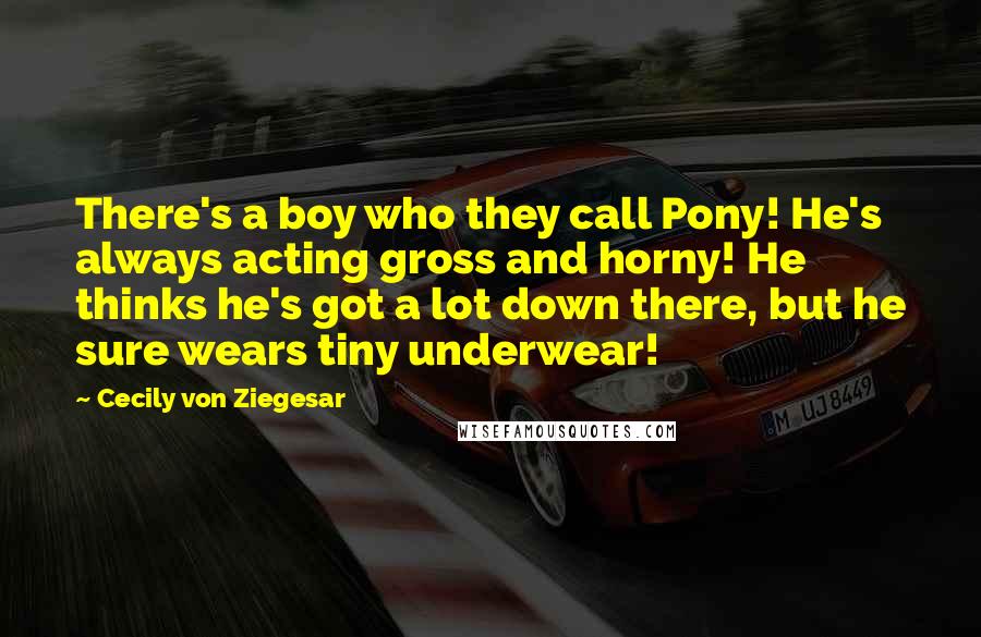 Cecily Von Ziegesar Quotes: There's a boy who they call Pony! He's always acting gross and horny! He thinks he's got a lot down there, but he sure wears tiny underwear!
