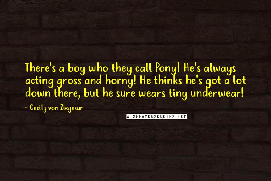 Cecily Von Ziegesar Quotes: There's a boy who they call Pony! He's always acting gross and horny! He thinks he's got a lot down there, but he sure wears tiny underwear!