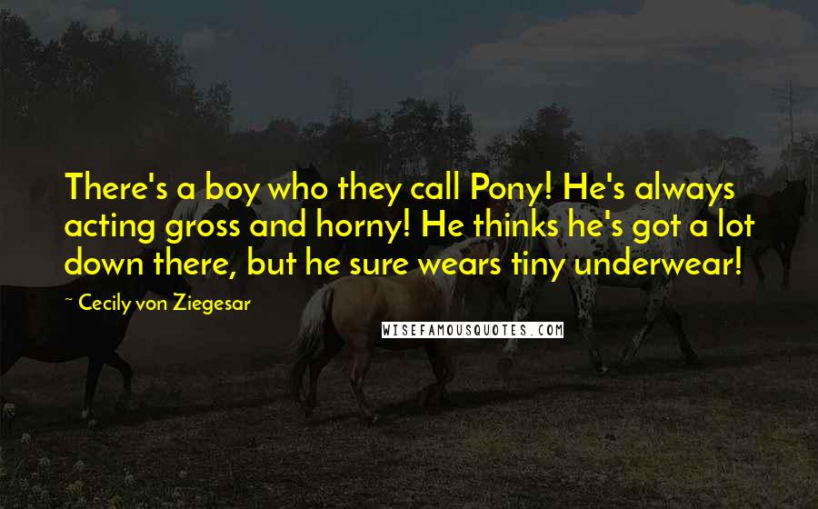 Cecily Von Ziegesar Quotes: There's a boy who they call Pony! He's always acting gross and horny! He thinks he's got a lot down there, but he sure wears tiny underwear!