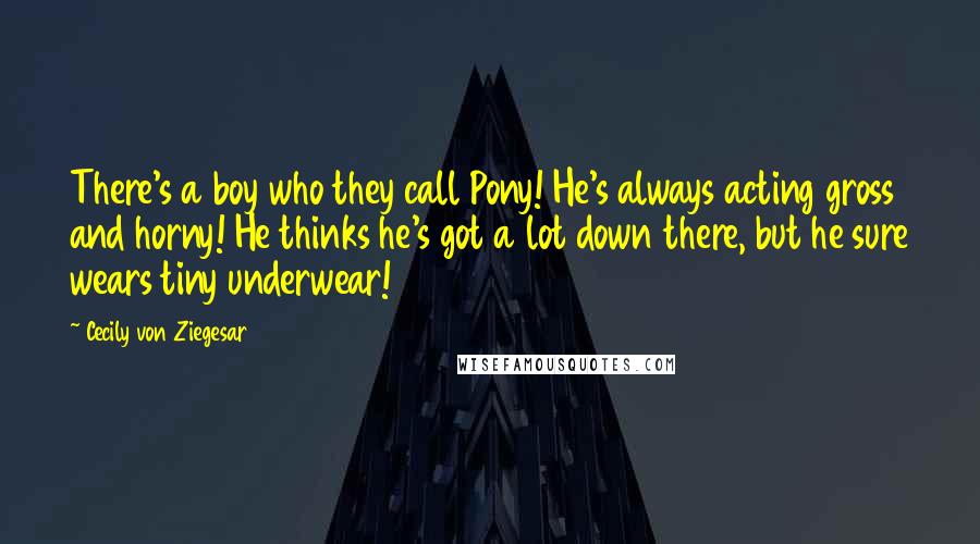 Cecily Von Ziegesar Quotes: There's a boy who they call Pony! He's always acting gross and horny! He thinks he's got a lot down there, but he sure wears tiny underwear!