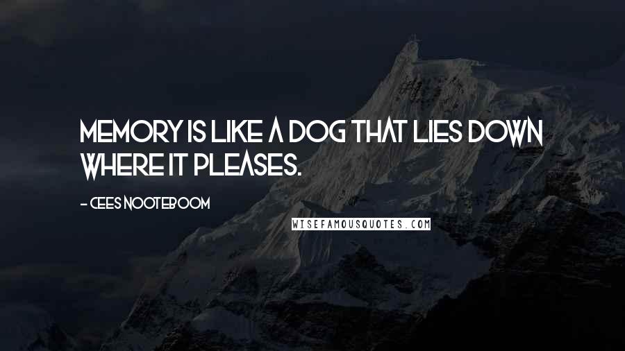 Cees Nooteboom Quotes: Memory is like a dog that lies down where it pleases.